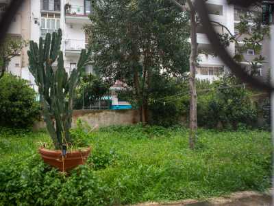 C�era anche un ampio giardino che accoglieva statue, una grande vasca d�acqua e tantissimi fiori. Purtroppo oggi del rigoglioso cortile resta soltanto un�aiuola verde con qualche arbusto, che intravediamo da una porta a vetri